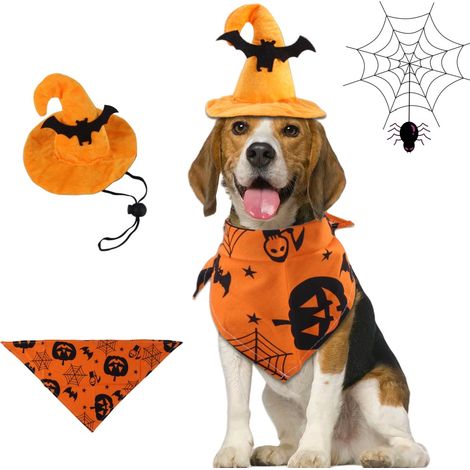 Costume d'Halloween avec chapeau de chauve pour chien Jaune