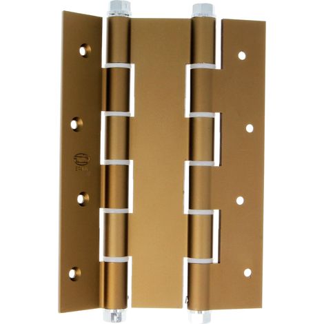 Charnière double action 180 x 133 x 4 mm Chants carrés Verrouillage automatique et régulation de la puissance Clé Allen incluse Portes avec épaisseur maximale de 35 mm Aluminium (1/5)