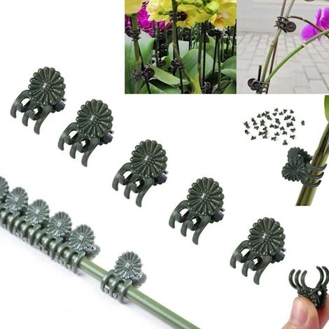 Lot de 100 clips de support pour orchidées, clips pour tiges florales printanières, pour supports de branches verticales et plantes en croissance, verts, 13 x 21 mm (1/5)