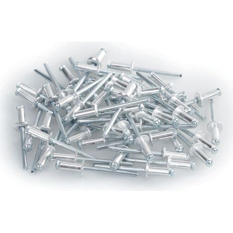 Aluminium Rivets, set 50 rivetti Graf per portatarga - Argento