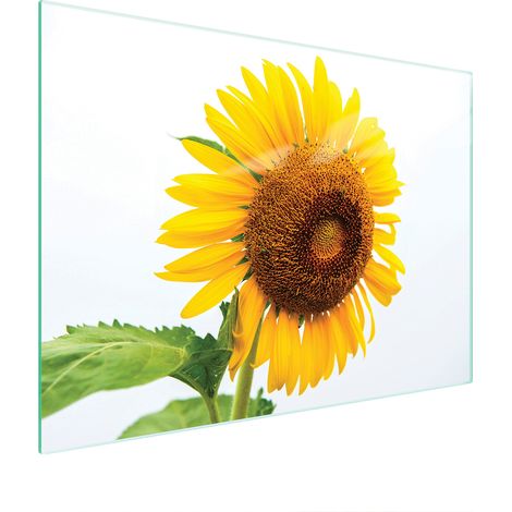 Glasschneidebrett 40x30 Blume (1/5)