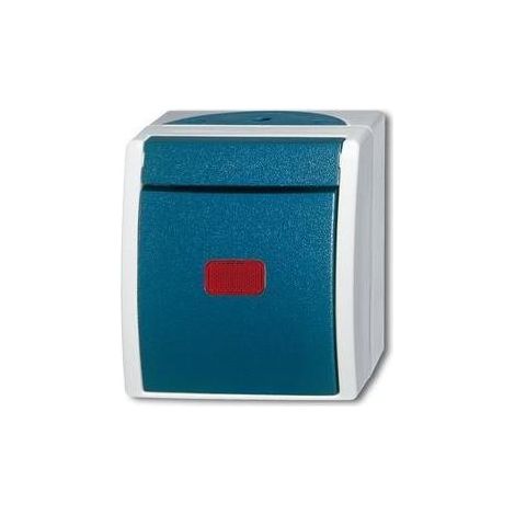 Busch-Jaeger Kontrollwechselschalter AP 2601/6 SKW-53 (1/5)