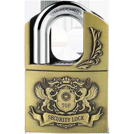 Cadenas de sécurité étanche et antivol pour portails, jardins et entrepôts, pour une installation à domicile et un usage quotidien.-AquaForge (1/5)