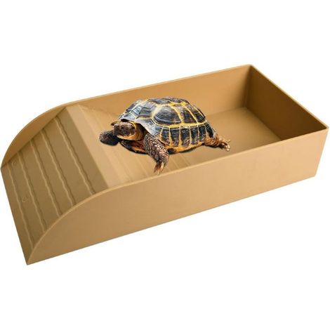 Bassin de Bain pour Tortue avec Bol en Forme de Mangue, Accessoire Tortue Terrestre, Bassin de Bain et Mangeoire pour Terrarium (1/5)