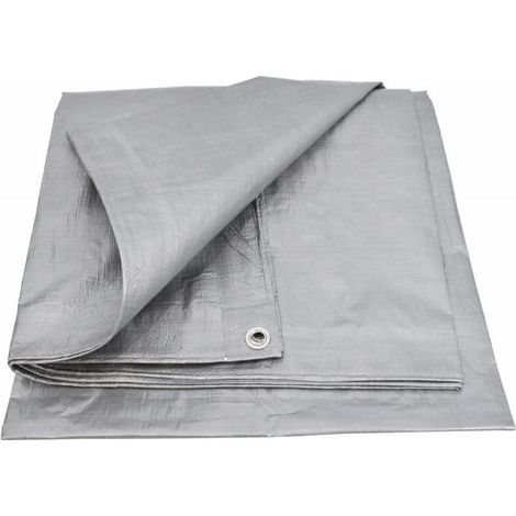 Awtools Telo di Protezione Argento 600x1000 cm (1/3)