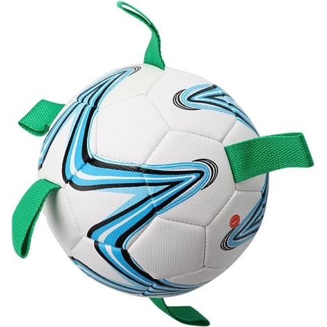 Ballon de Football pour Chien, Entraînement de Chien Interactif et Amusant Morsure Balle Jouet Intérieur Extérieur Pelouse 19 cm (1/4)
