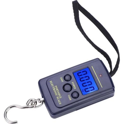 Balance numérique de pêche 40 kg – portable, 4 unités, écran LCD, fonction tare et verrouillage, pour pêche/retail/expédition (1/5)