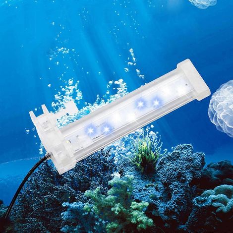 Lampe LED à pince pour aquarium, compatible avec les parois jusqu'à 12,5 mm d'épaisseur - L 16 cm (1/4)