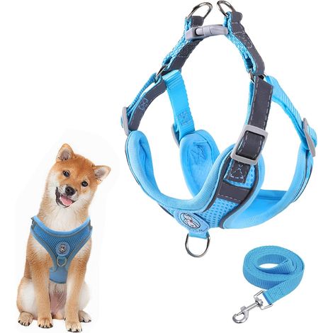 Für Hundegeschirr mit Leine – Atmungsaktives Mesh-Brustgeschirr für kleine mittelgroße Hunde und Welpen – gepolstert und weich – verstellbar – reflektierendes Geschirr – Blau