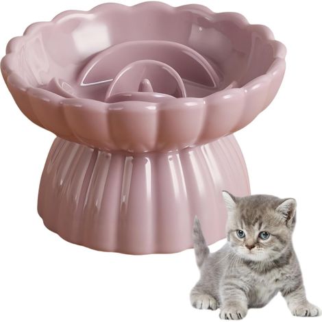 Gamelle en céramique pour chat, gamelle anti-glouton, gamelle surélevée pour chat, gamelle inclinée surélevée anti-vomissements, gamelle pour chaton mangeant lentement (violette) (1/5)