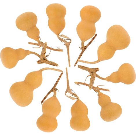 Lot de 10 Calebasses Naturelles Artisanales 4-6 CM Décoration Artisanale en Courge pour Salon Bureau et Chambre Ornement Symbolique et Authentique Style Aléatoire (1/5)