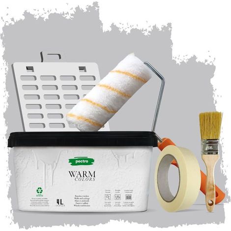 Vernice - PECTRO - Monocouche - Grigio Dolce - 4L - Kit Completo Inclusi