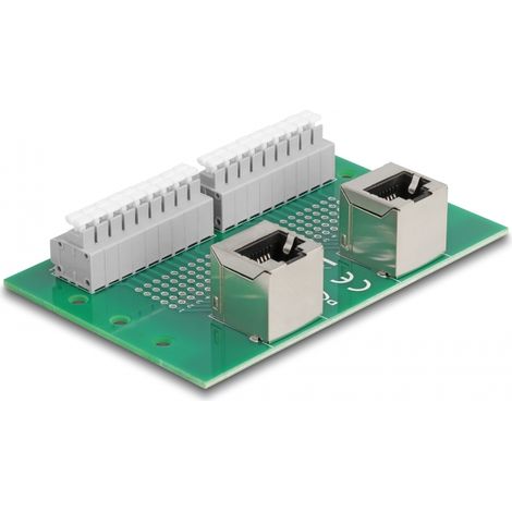 Delock RJ45 2 x hembra a 2 x bloque de terminales con pulsador para carril DIN en Ã¡ngulo