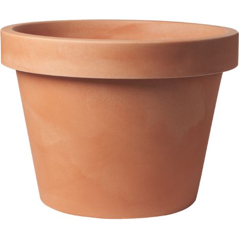 Plante d'Intérieur Lira aux Feuilles Ovales Coloris Terracotta - D85 x H76 cm - PANGIVO