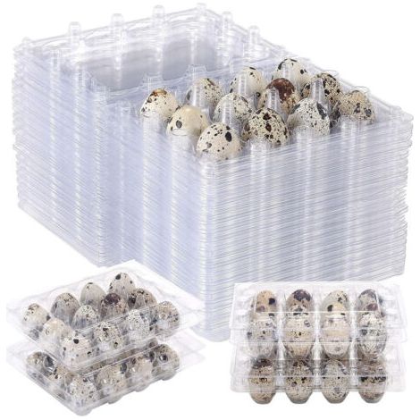 100pcs 12 Grilles boîte d'oeufs de caille Oeuf de Caille Cartons réutilisables Boite de Rangement des Oeufs Frigo Transparent Boîte De Rangement Mini Oeuf Distributeur avec couvercle pour réfrigérateu