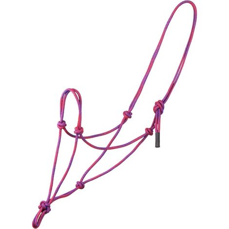 full, Rosa /Viola: Cavezza in corda annodata bicolore per cavalli