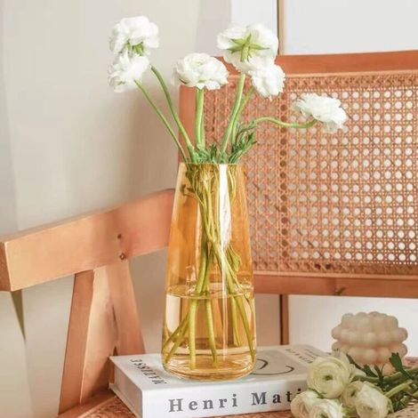 Vase en Verre sans Plomb, Vase Herbe de la Pampa, 22 cm Style Minimaliste Vas (1/3)