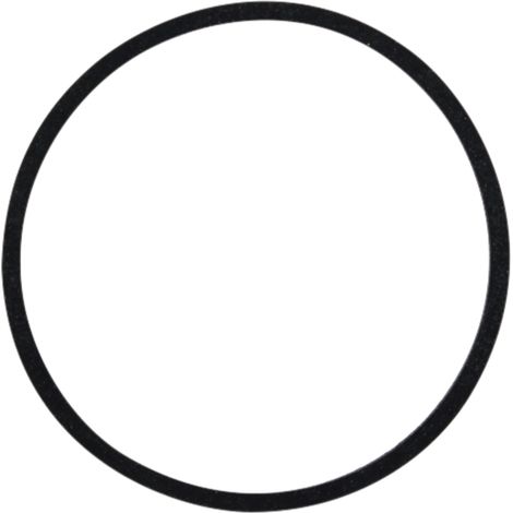 Großer Dichtungsring 5679972 3069609R91 3105001R1