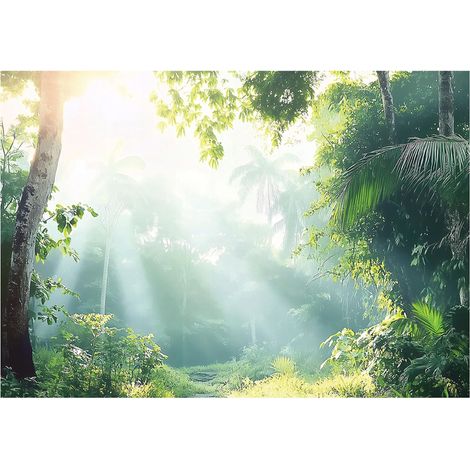 Papier peint intissé rayons de soleil et arbres, vert, décoration murale – 250 x 175 cm Wallarena (1/4)