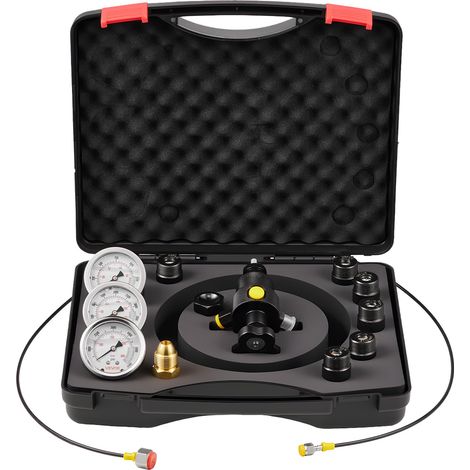 Kit de Gonflage d'Accumulateur d'Azote Hydraulique, Système de Test de Pression avec 3 Manomètres 1500/4000/6000 psi, 6 Raccords Adaptateurs, 1 Tuyau de Gaz, 1 Vanne et 1 Adaptateur CGA580 (1/5)