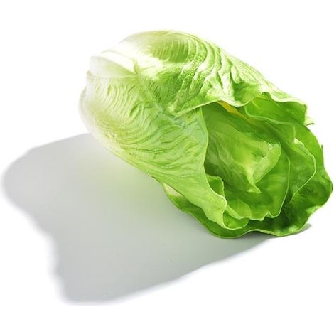 Légumes artificiels factices, maquettes pour la cuisine et la décoration intérieure (1/4)