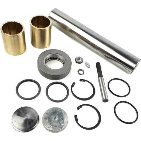 Kit de réparation pivot Renault 5000793828, 2569101, 6.94000
