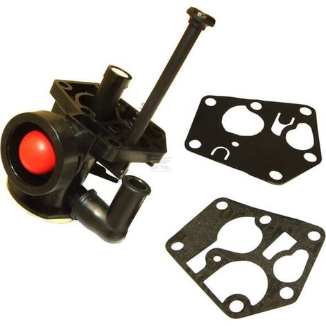 Carburateur adapté BRIGGS & STRATTON FGP456483