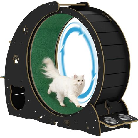 Katze Trainingsrad, Multifunktionales Design, Leiser Betrieb, 01 (1/2)