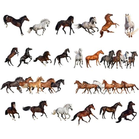 Stickers muraux chevaux GARVALON en PVC résistant et durable (1/5)