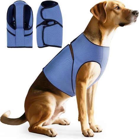Gilet anti-ansia per cani, in rete traspirante, ideale per calmare gli animali domestici durante temporali, fuochi d'artificio e viaggi, taglia M. (1/5)