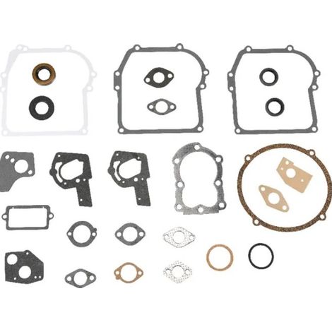 495602 - Pochette de joints pour moteur Briggs et Stratton