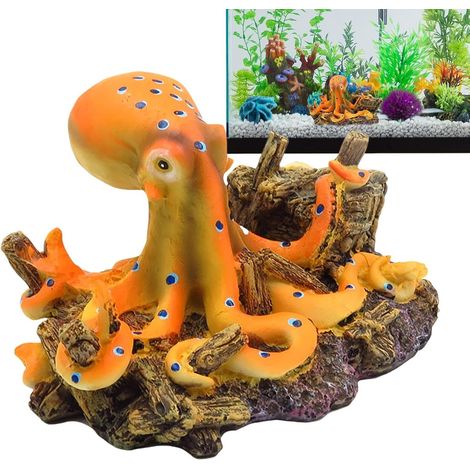 de rservoir de Poisson amnagement paysager daquarium Pieuvre (1/5)