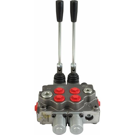 Lem Select – Distributeur hydraulique double effet 3/8' – Pression maximale 180 bar – Compact en fonte spéciale – Modèle SD5 (1/3)