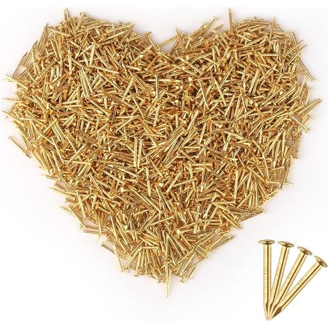 Mini Round Head Nails Small Gold Nails 1x10mm Brass Plated Nails Round Head Small Wooden Nails for DIY Furniture Fixing Gold (1/5)