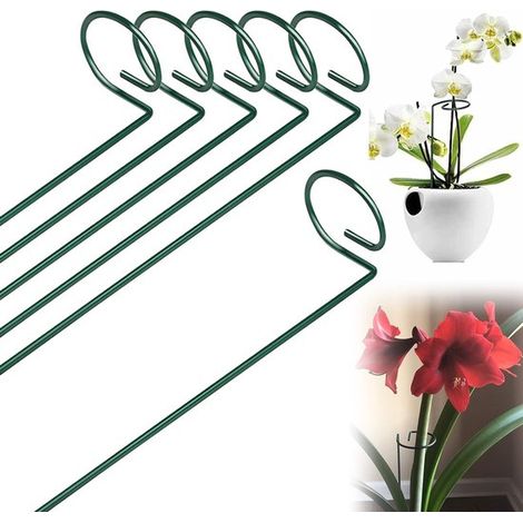 Stützring für Gartenpflanzen 40 cm lange Metallstäbe für Tomaten, Lilien und Rosen (1/5)
