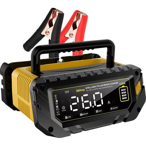 Cargador de batería para coche, carga inteligente, múltiples opciones de salida, cargador de 26 A, enchufe europeo. (1/2)