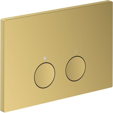 AXOR 42530990 Plaque de commande Axor FlushPlate PGO