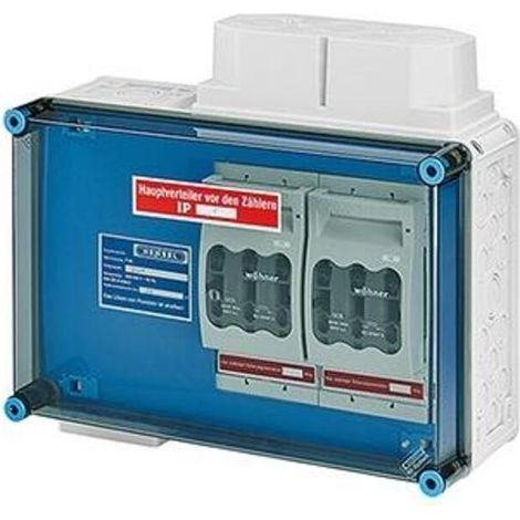 HENSEL Hauptleitungsverteiler HV0060 plombierbar 250A 3-polig (1/3)