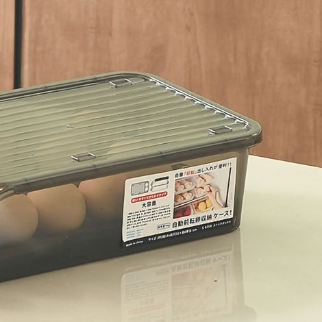 Boîte à œufs à roulettes, boîte de rangement alimentaire pour réfrigérateur, plateau à œufs à remplissage automatique, rouleur à œufs, boîte de rangement à œufs coulissante, boîte à œufs noire à roule (1/5)
