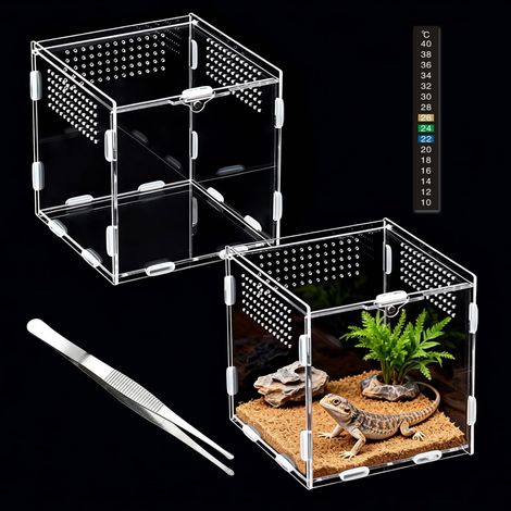 Terrarium Acrylique, 15x15x15cm à Escargots en Transparent Vivarium, Cage D'élevage de Reptiles Respirante, pour Lézard (1/5)
