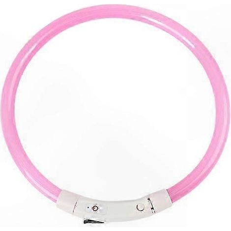 Collier pour chien avec LED clignotante rechargeable USB et lumière de sécurité nocturne (1/5)