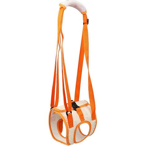 Harnais de levage pour chien XL avec support dorsal et de hanches ajustable, accessoire pour animaux de compagnie, idéal pour l'aide canine et la rééducation ligamentaire. (1/5)