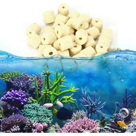Matériau filtrant en pierre à anneaux bactériens pour aquarium (1/5)