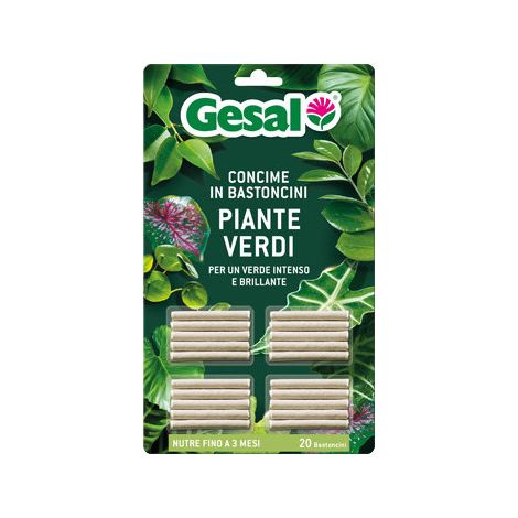 Engrais en bâtonnets pour plantes vertes – 20 pièces – GESAL – Nutriment équilibré et feuilles brillantes