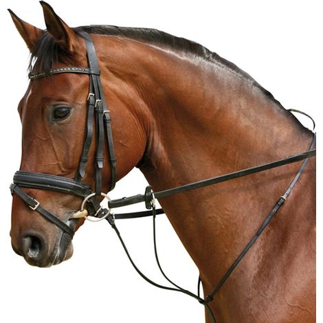 Martingal schwarz Pony
