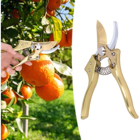 Gartenscheren, Obstbaumscheren, Astscheren, Gartengeräte (1/5)