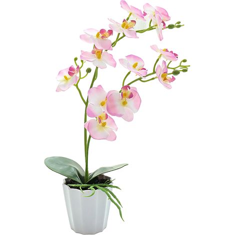Fleur Artificielle Phalaenopsis - Plante Bonsaï Décorative Bureau Intérieur - 1 Pièce (1/5)