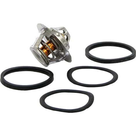 Valeo 819946 Termostato, Refrigerante