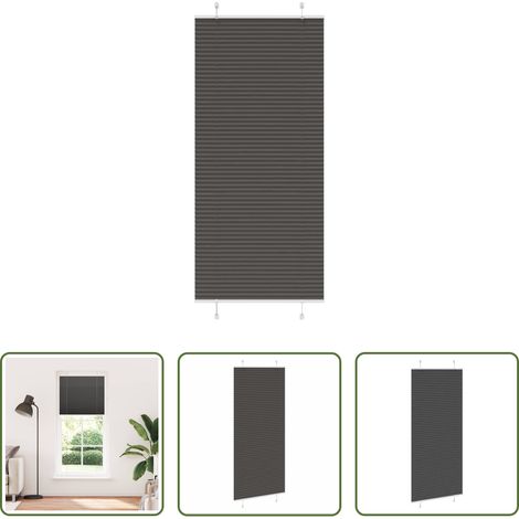 Sichtschutz -  Plissee Schwarz 95x200 cm Stoffbreite 94,4 cm Polyester (1/5)