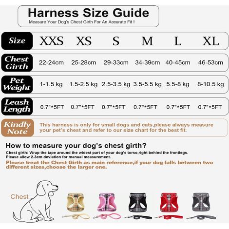 Harnais pour Chien et Chat - Ensemble Réglable avec Laisse Réfléchissante et Maille Respirante - Confortable et Sécurisé pour Petits Animaux